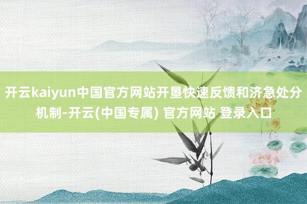 开云kaiyun中国官方网站开垦快速反馈和济急处分机制-开云