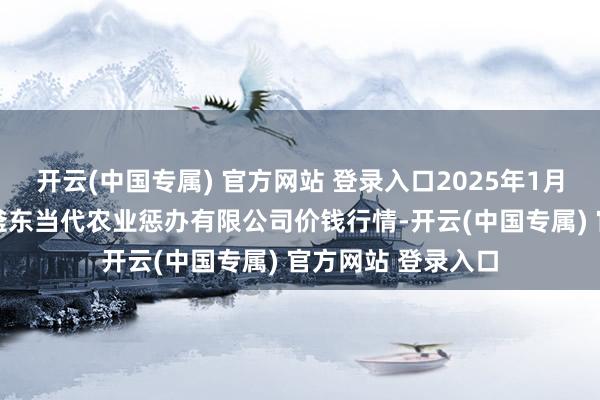 开云(中国专属) 官方网站 登录入口2025年1月24日邯郸