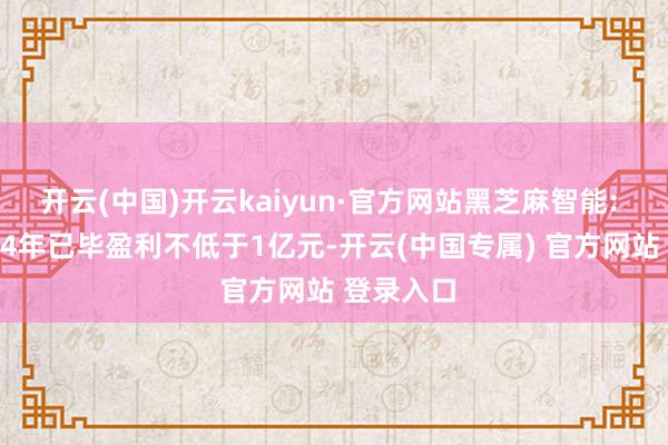 开云(中国)开云kaiyun·官方网站黑芝麻智能: 瞻望20