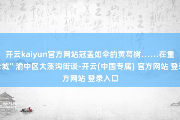 开云kaiyun官方网站冠盖如伞的黄葛树……在重庆“母城”渝