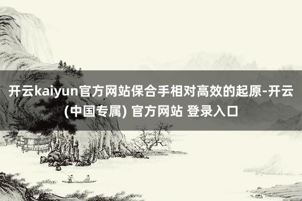 开云kaiyun官方网站保合手相对高效的起原-开云(中国专属