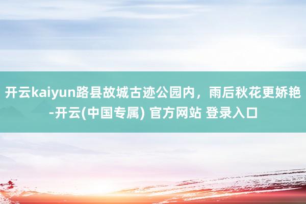 开云kaiyun路县故城古迹公园内，雨后秋花更娇艳-开云(中