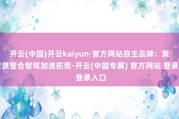开云(中国)开云kaiyun·官方网站自主品牌：聚焦资源整合