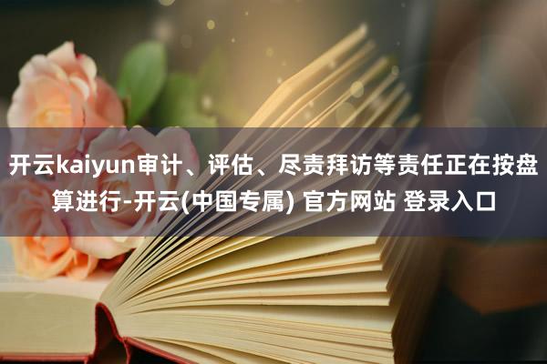 开云kaiyun审计、评估、尽责拜访等责任正在按盘算进行-开